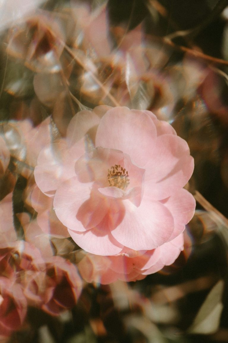 What is feminine energy and why so many women feel disconnected from it